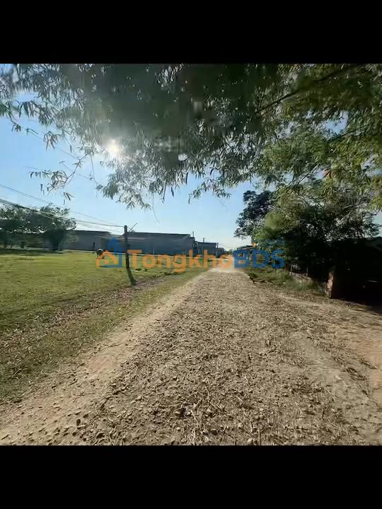 Đất nền Phú Gia Cát Tường Quy Nhơn 123m² - Đường to ô tô