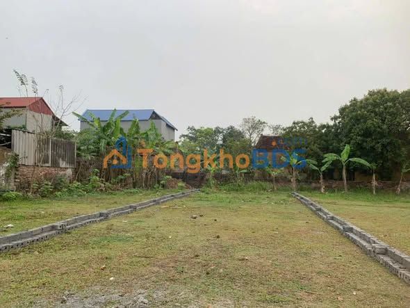 Bán đất 100m² Xuân Lai, Gia Bình, Bắc Ninh - Sổ đỏ sẵn, giá 1 tỷ