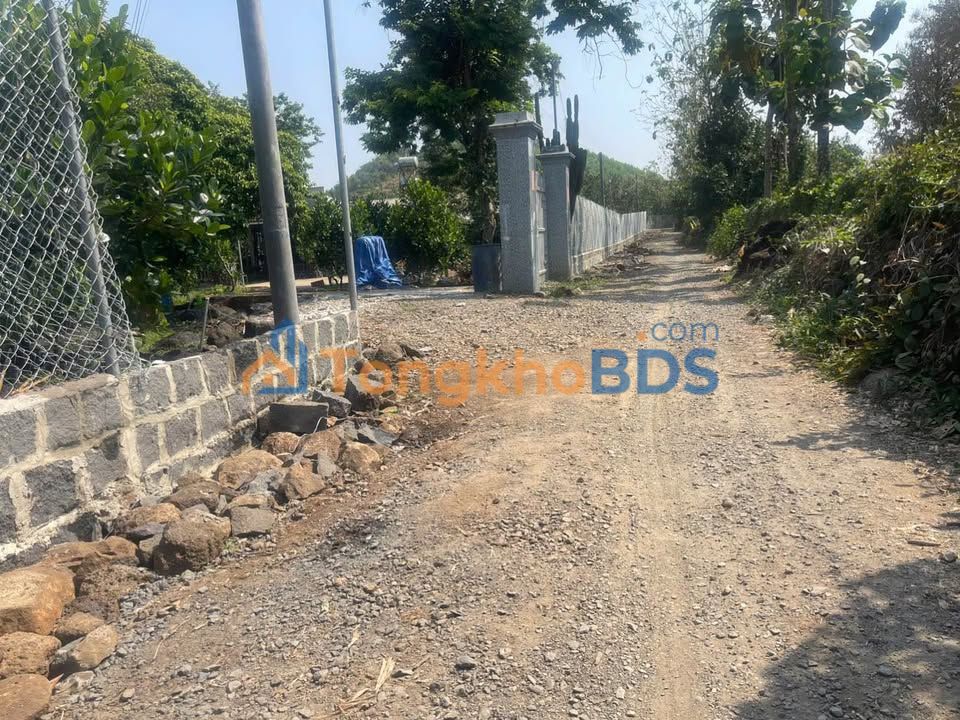 Đất nền Đồng Nai 1000m² - Sổ riêng, Giá đầu tư chỉ 455 triệu