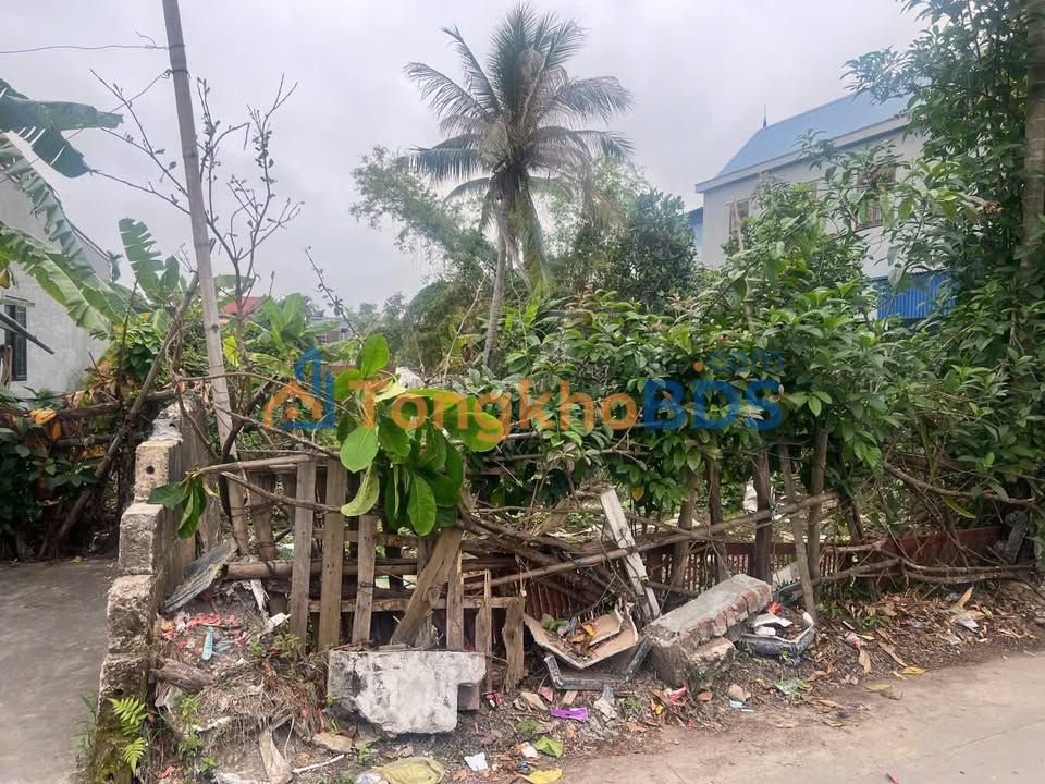 Đất nền An Lão, Hải Phòng 101m² - Vị trí đắc địa, tiện ích đầy đủ