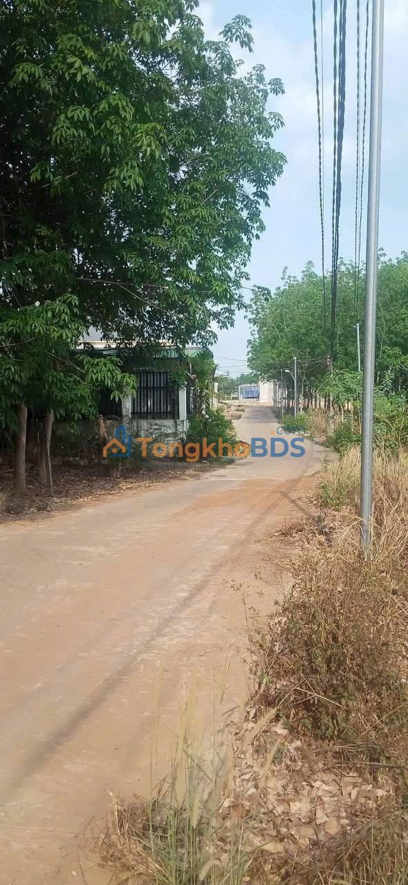 Đất nền Tiến Thành Đồng Xoài 192m² 500 triệu - Sổ đỏ chính chủ