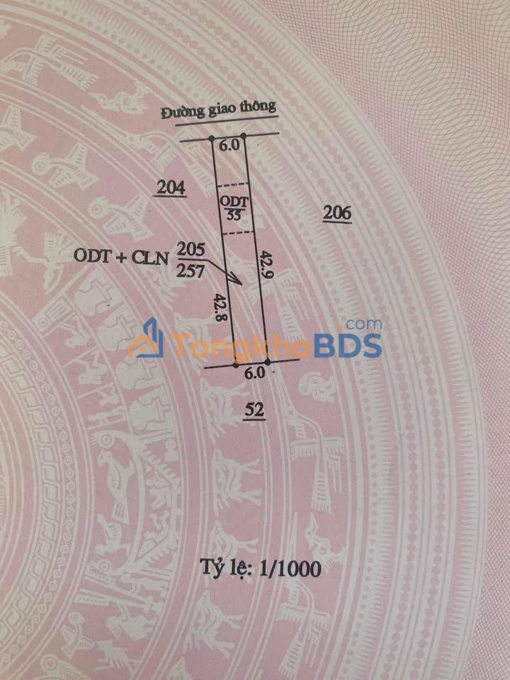 Bán Đất Hùng Vương, Đà Lạt - 252m² Thổ Cư, Sổ Hồng Sẵn Sàng