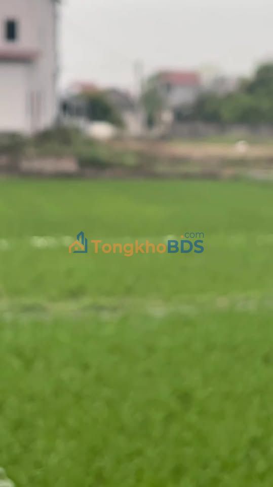 Đất Nền 137m² Lương Phong, Hiệp Hòa - Sổ Đỏ Sẵn Sàng, Ô Tô Tận Nơi