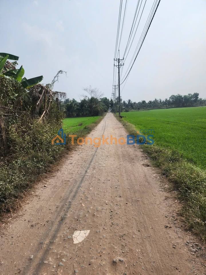 Đất Vườn Nghỉ Dưỡng 1495m² Hóc Môn - Giá Tốt, Đường Xe Tải