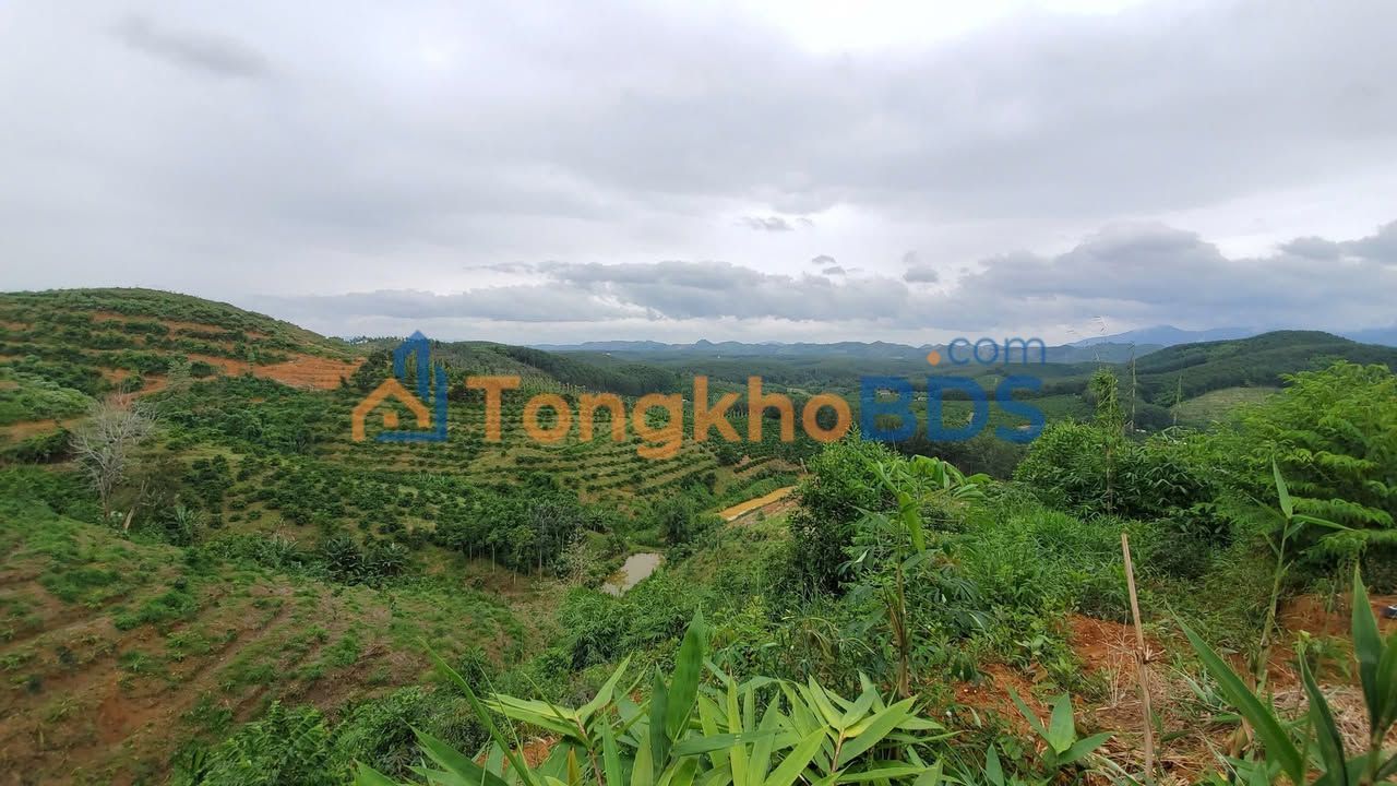 Bán Gấp 120ha Đất Farm Tại Đắk Nông - Pháp Lý Rõ Ràng