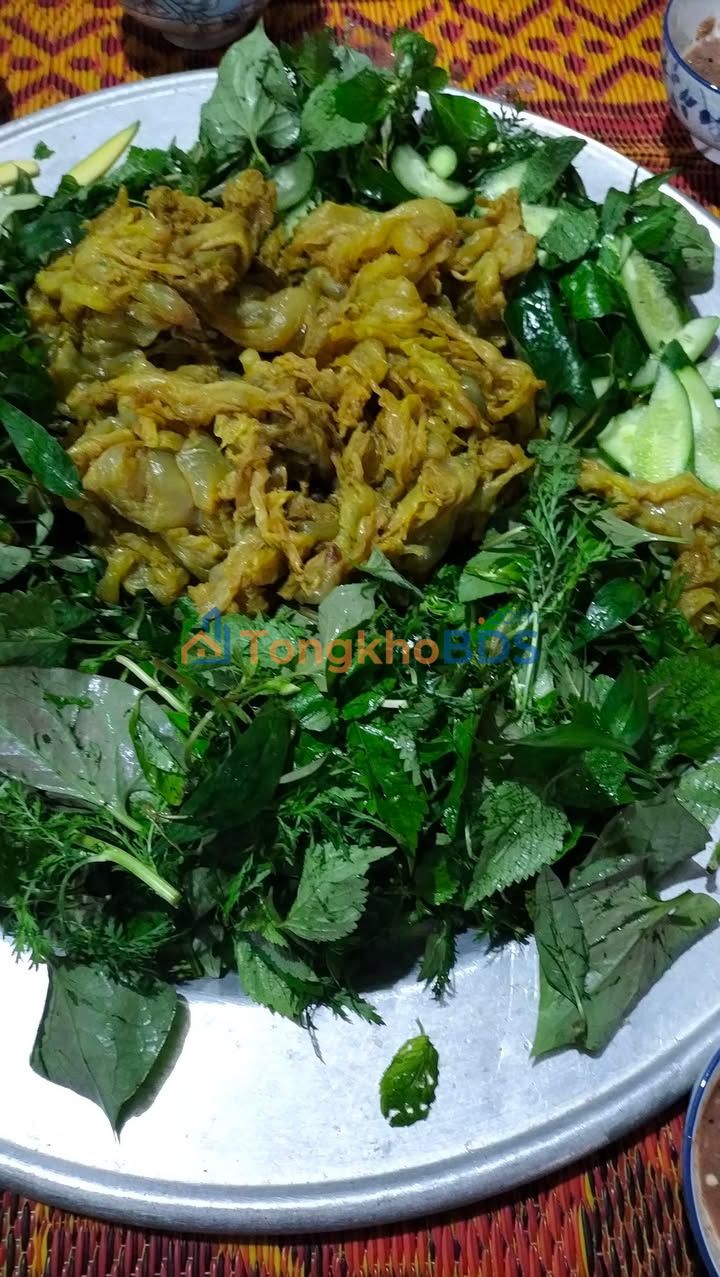 Đất Nền 200m² Kỳ Hoa, Hà Tĩnh - Sổ Đỏ Full Thổ Cư, Hướng Đông Nam