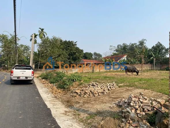 Đất Mặt Tiền TL315C - Vạn Xuân, Tam Nông: 101m² Thổ Cư, Giá Tốt Đầu Tư