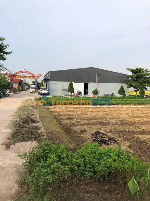 Đất Góc 300m² Hướng Bắc - Xã Phong Dương Tiến, Đông Hưng, Thái Bình - Giá Tốt