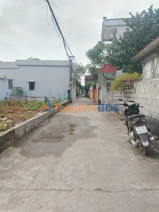 Bán đất Thị trấn Vũ Thư 69m² - Ngõ ô tô, tiềm năng đầu tư sinh lời