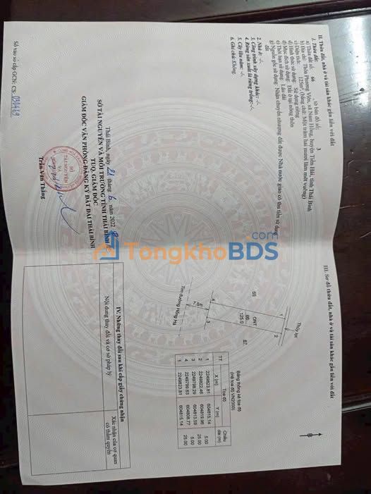 Đất nền Tiền Hải, Thái Bình 125m² - Giá chỉ 1.3 tỷ, sổ đỏ sẵn sàng!