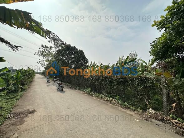 Đất nền Quảng Bị, Chương Mỹ 1210m² - An Yên Miền Quê, Giá Hơn 3 Tỷ