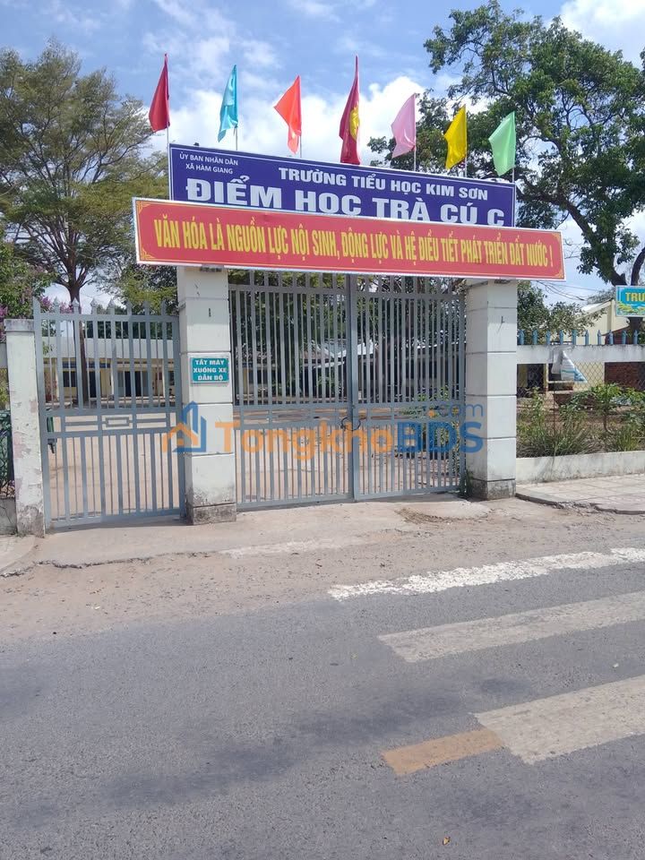 Bán Đất Mặt Tiền Đường Huyện 36, Kim Sơn, Trà Vinh - 495m² Giá 650 Triệu
