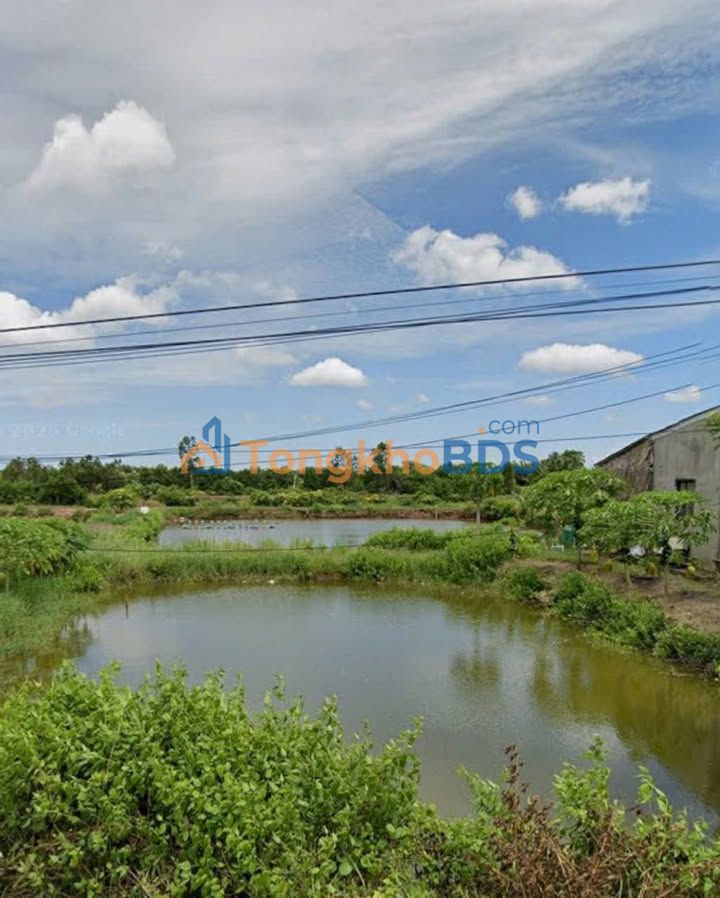 Đất nền Ấp 11 Long Hữu Duyên Hải 2,606m² giá 2,2 tỷ - Sổ đỏ chính chủ