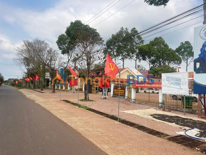 Mặt tiền Tỉnh lộ 10 - Krông A Na, Đắk Lắk | 100m² Kinh doanh sầm uất