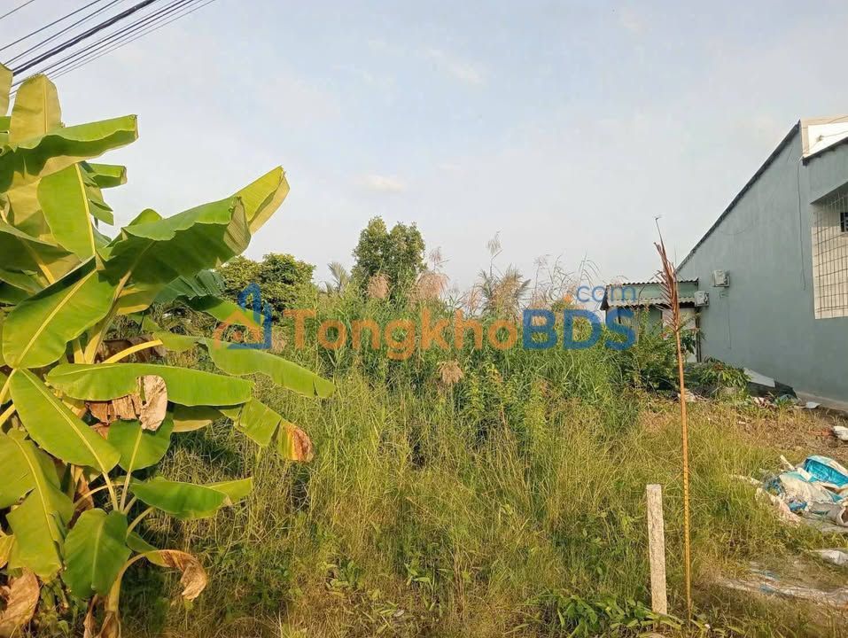 Bán đất 550m² Cà Mau - Sổ đỏ sẵn, mặt tiền sông