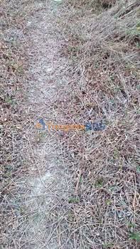 Đất thổ cư 105m² Đường Quản Lộ - Phụng Hiệp, Bạc Liêu - Sổ sẵn, giá tốt