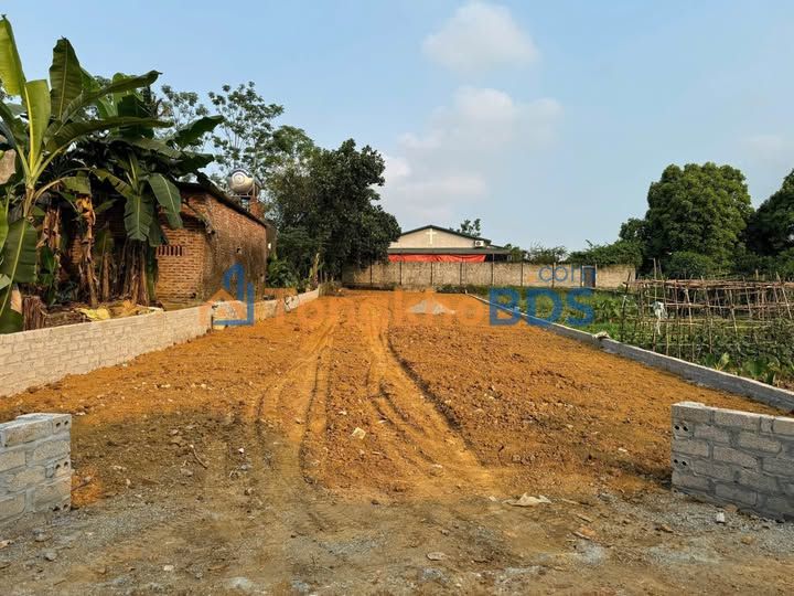 Đất nền 460m² Thắng Đầu - Phú Cường, Hoà Bình - Đầu tư/Nghỉ dưỡng lý tưởng