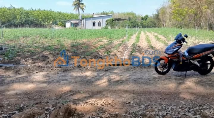 Đất Vườn Minh Thạnh 10.000m² - Giá Đầu Tư 5.9 Tỷ, Sẵn Nhà Vườn Nghỉ Dưỡng