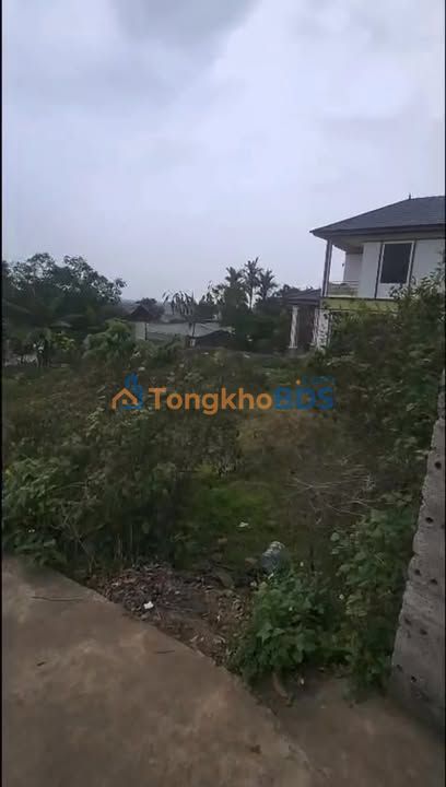 Đất Nền Lục Nam, Bắc Giang 1180m² - Tiềm Năng Đầu Tư Vượt Trội