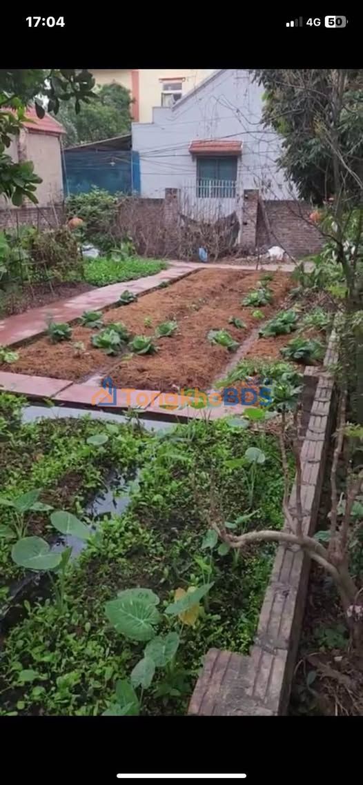 Đất Làng Yên Quán, Quốc Oai 240m² - Vành đai 4 sắp hoàn thành