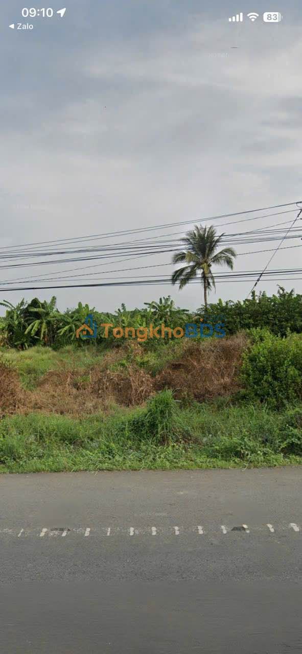 Đất nền Đại Tâm QL1A 250m² 1.15 tỷ - Sổ đỏ chính chủ