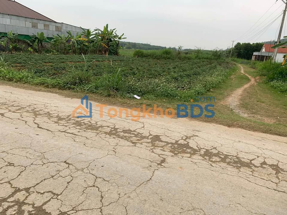 Đất Lô Góc Đấu Nghĩa, Anh Sơn: 212.5m², Sổ Đỏ Sẵn Sàng - Giá Đầu Tư 1 Tỷ