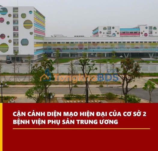 Đất 100m² Full Thổ Cư Quốc Oai - Sổ Đỏ Sẵn Sàng, Ô Tô Tránh Nhau