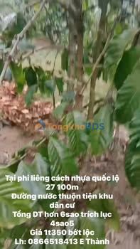 Bán Gấp Đất Vườn 6000m² Xã Đạ K' Nàng, Lâm Đồng - Giá Tốt 1.35 Tỷ