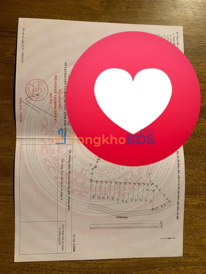 Đất Nền Tuy Đức 500m² Sổ Đỏ 100% Thổ Cư - Giá Đầu Tư 270 Triệu