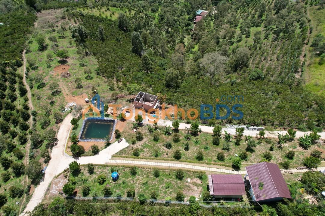 Đất Đồi View 360° Đà Lạt 1825m² – Nhà Sẵn Sàng – 2.4 Tỷ