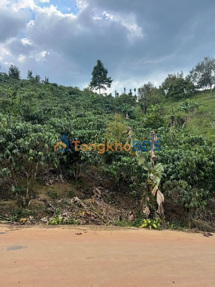 Bán Đất Vườn Đạ Huoai 5.6 Sào - View Đồi Thoáng Đãng, Full Thổ Cư