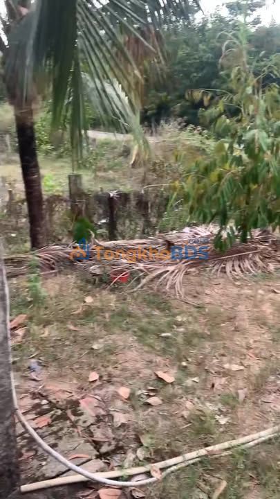 Bán Gấp Đất Vườn 500m² Thôn 3 Gia An, Tánh Linh - Sổ Hồng, Giá 800 Triệu