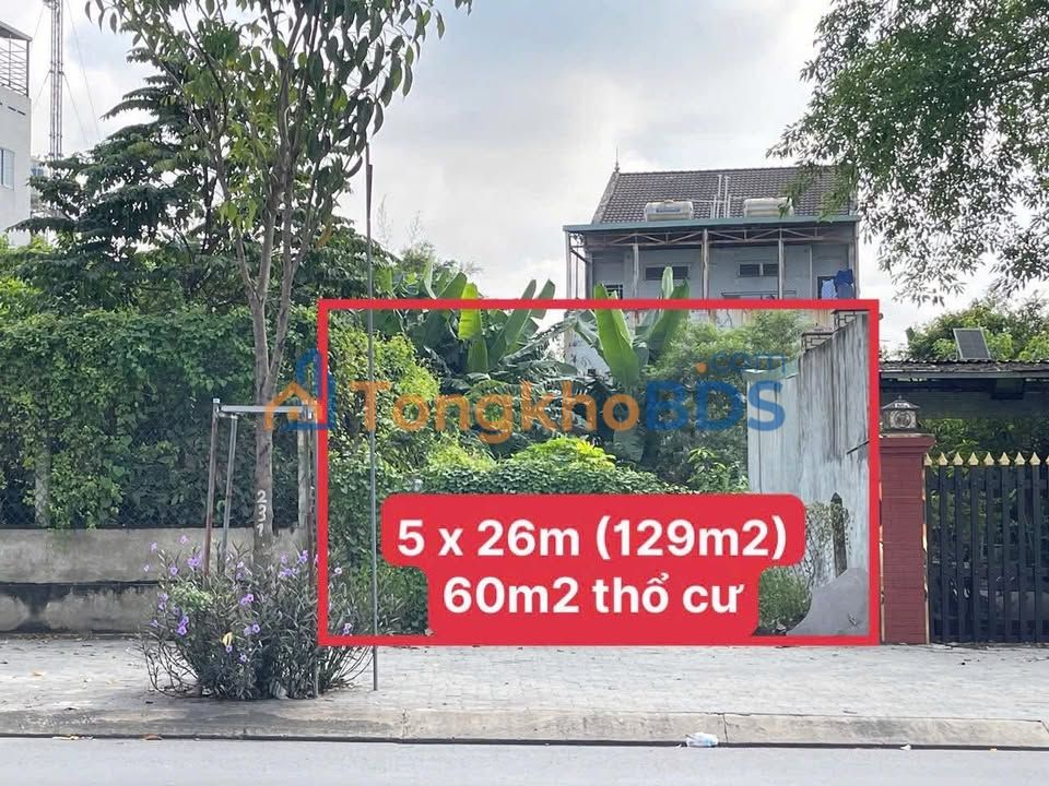 Mặt Tiền Nguyễn Văn Lộng, Thủ Dầu Một - 129m² Kinh Doanh Sầm Uất