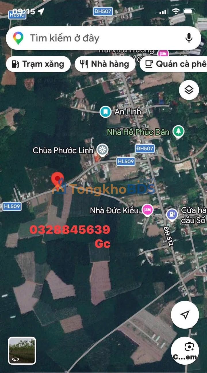 Đất nền DH509 An Linh 10.000m² - Sổ đỏ chính chủ