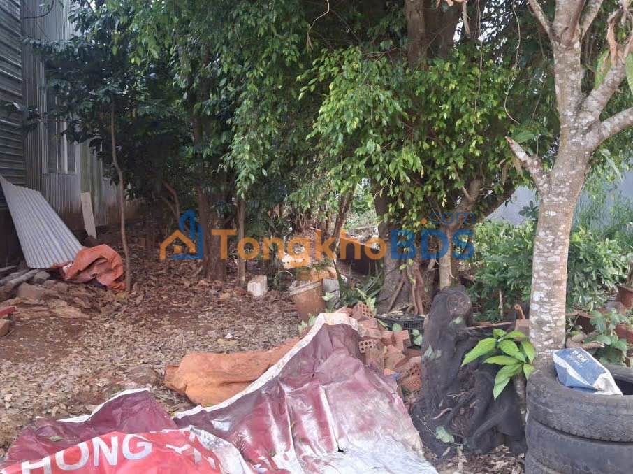 Nhà phố Mạc Đĩnh Chi Thủ Dầu Một 135m² 2 tỷ - Vị trí đắc địa