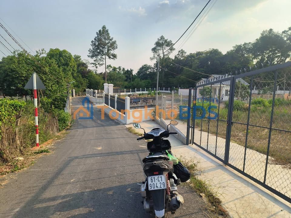 Đất Vàng Thủ Dầu Một 487m² - Sổ Hồng Thổ Cư, Giá 4.5 Tỷ