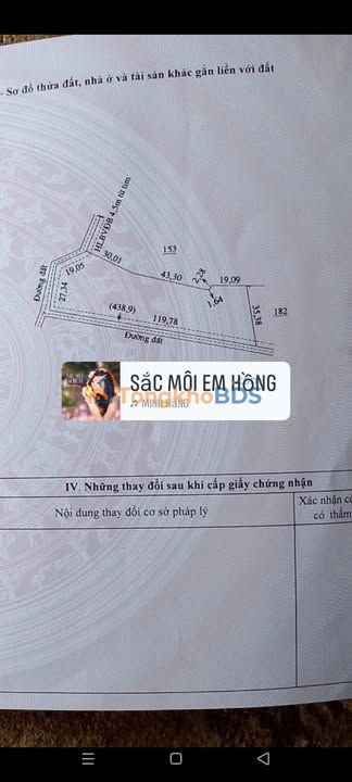 Bán 16.200m² Đất Đỏ Bazan Lộc Điền, Bình Phước - Mặt Đường Lớn Giá 6 Tỷ