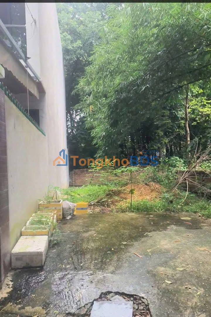 Bán Đất Thổ Cư 106m² Phường Hiệp Bình Chánh, Thủ Đức - 1.45 Tỷ