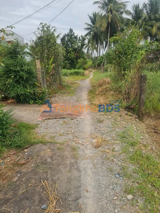 Bán gấp Đất nền Tân Trụ, Long An - 214m² nở hậu, giá chỉ 800 triệu