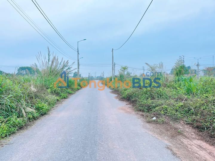 Đất đấu giá Lạng Giang 88m² - Sổ đỏ sẵn sàng, giá chỉ 1.6 tỷ