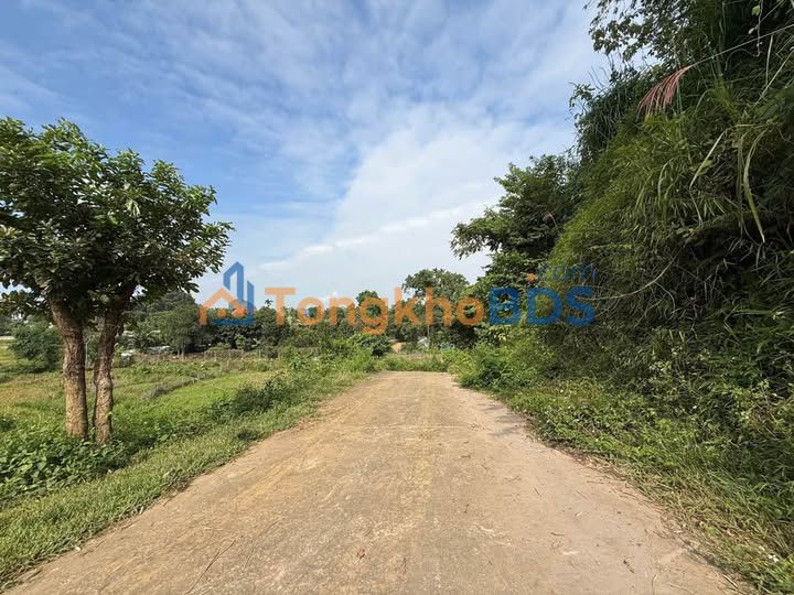 Bán Gấp Đất Nghỉ Dưỡng 2.4ha view đồng ruộng, bám suối tại Lương Sơn, Hòa Bình