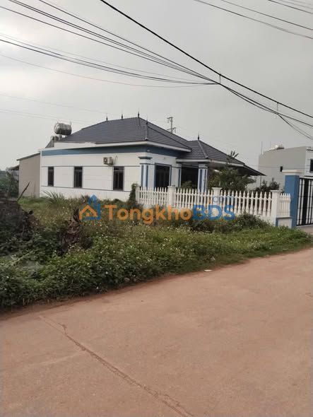 Bán Gấp Đất 100m² Bám Trục Liên Xã Tân Trung, Tân Yên - Giá Đầu Tư