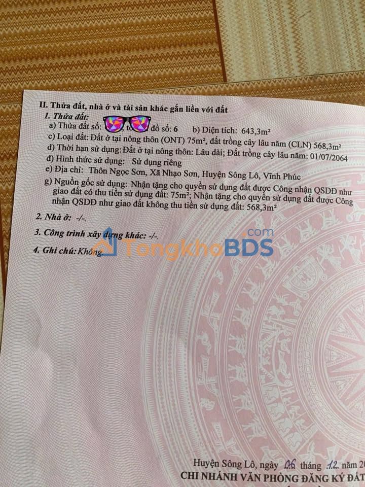 Đất nền Nhạo Sơn Sông Lô 600m² 1.7 tỷ - Sổ đỏ chính chủ