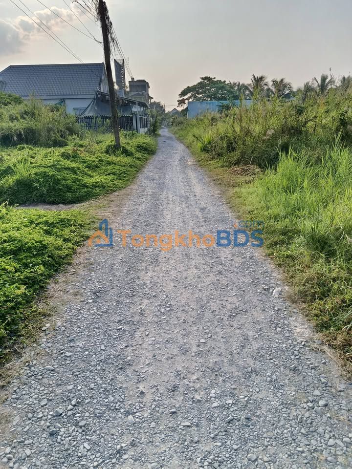 Đất nền Tân Hạnh Long Hồ 267m² 1.4 tỷ - Sổ đỏ chính chủ