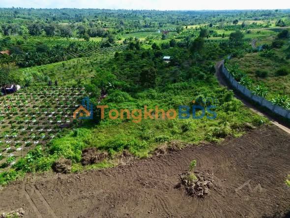 Đất Vàng Buôn Ma Thuột - 7200m² Mặt Tiền 44m, Giá 1.3 Tỷ