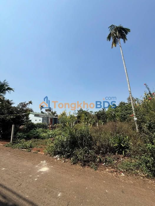 Đất nền 148m² Đắk Lắk - Sổ hồng sẵn, cách QL26 chỉ 250m
