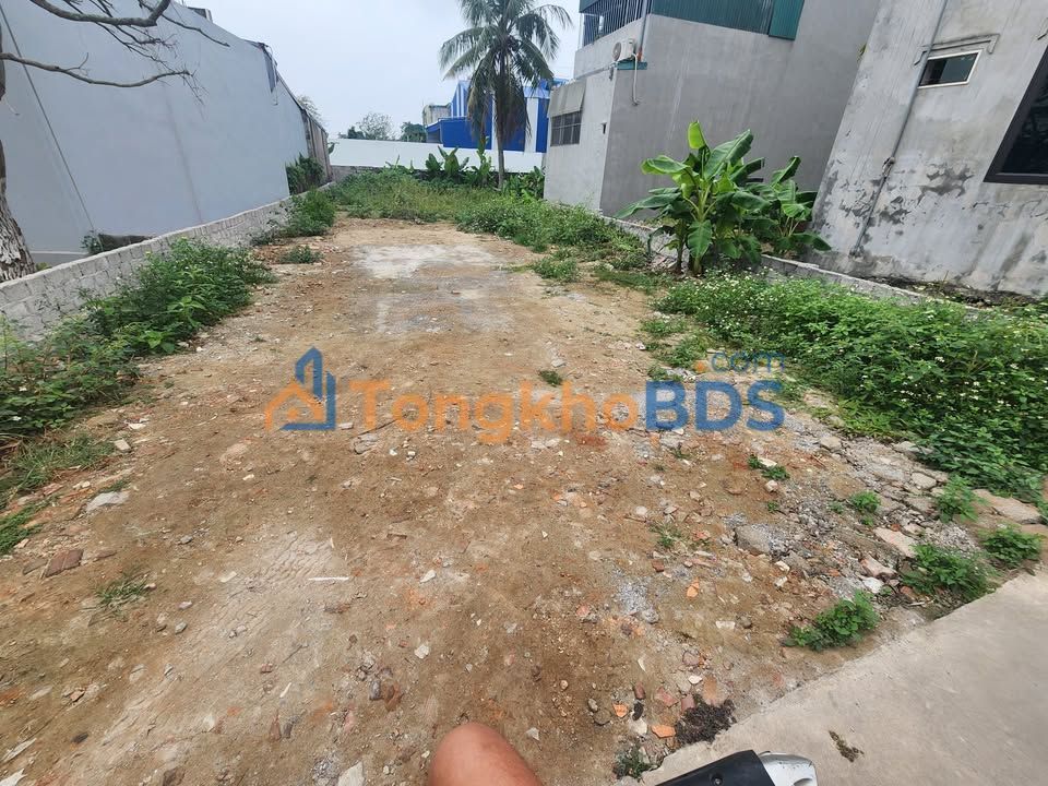 Đất nền Chi Lăng Thanh Hoá 238m² 3 tỷ - Đường ôtô rộng