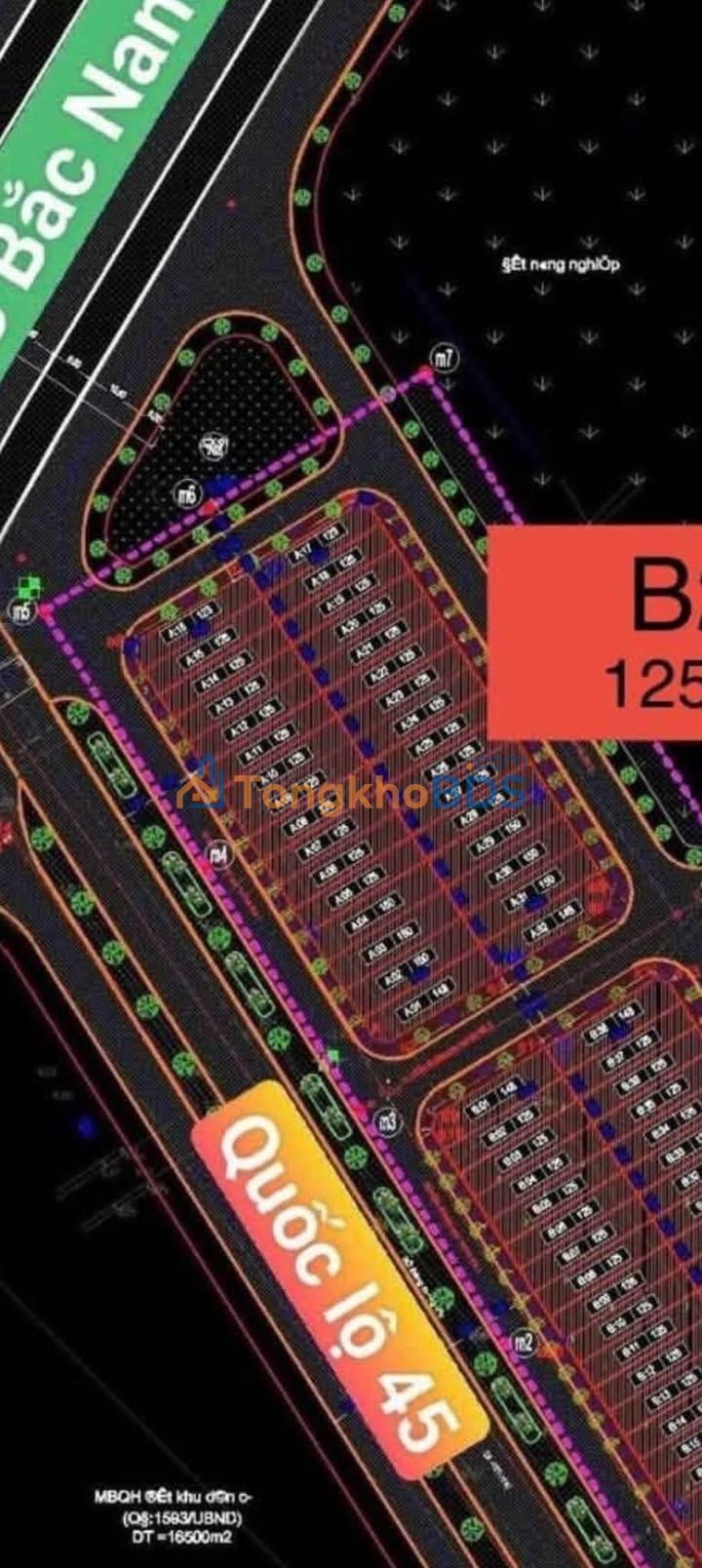 Bán Đất Nền 125m² Đông Sơn, Thanh Hóa - Sổ Đỏ Sẵn Sàng, Giá Đầu Tư