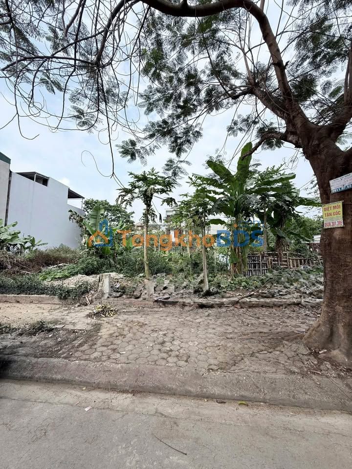 Bán Gấp Đất Nền 75m² Phố 5 Quảng Hưng - Sẵn Móng 4 Tầng, Giá 2.3 Tỷ