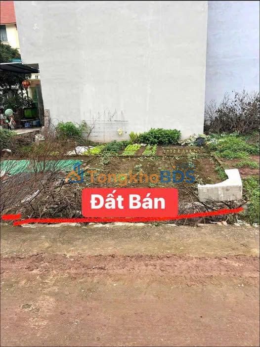 Bán Đất Đặng Xá 35m² - Mặt Tiền 4m Vuông Vắn, Giá 3.0 Tỷ